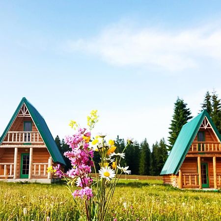 Etno House Uskoci Pensionat Žabljak Exteriör bild