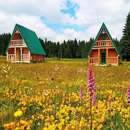 Etno House Uskoci Pensionat Žabljak Exteriör bild